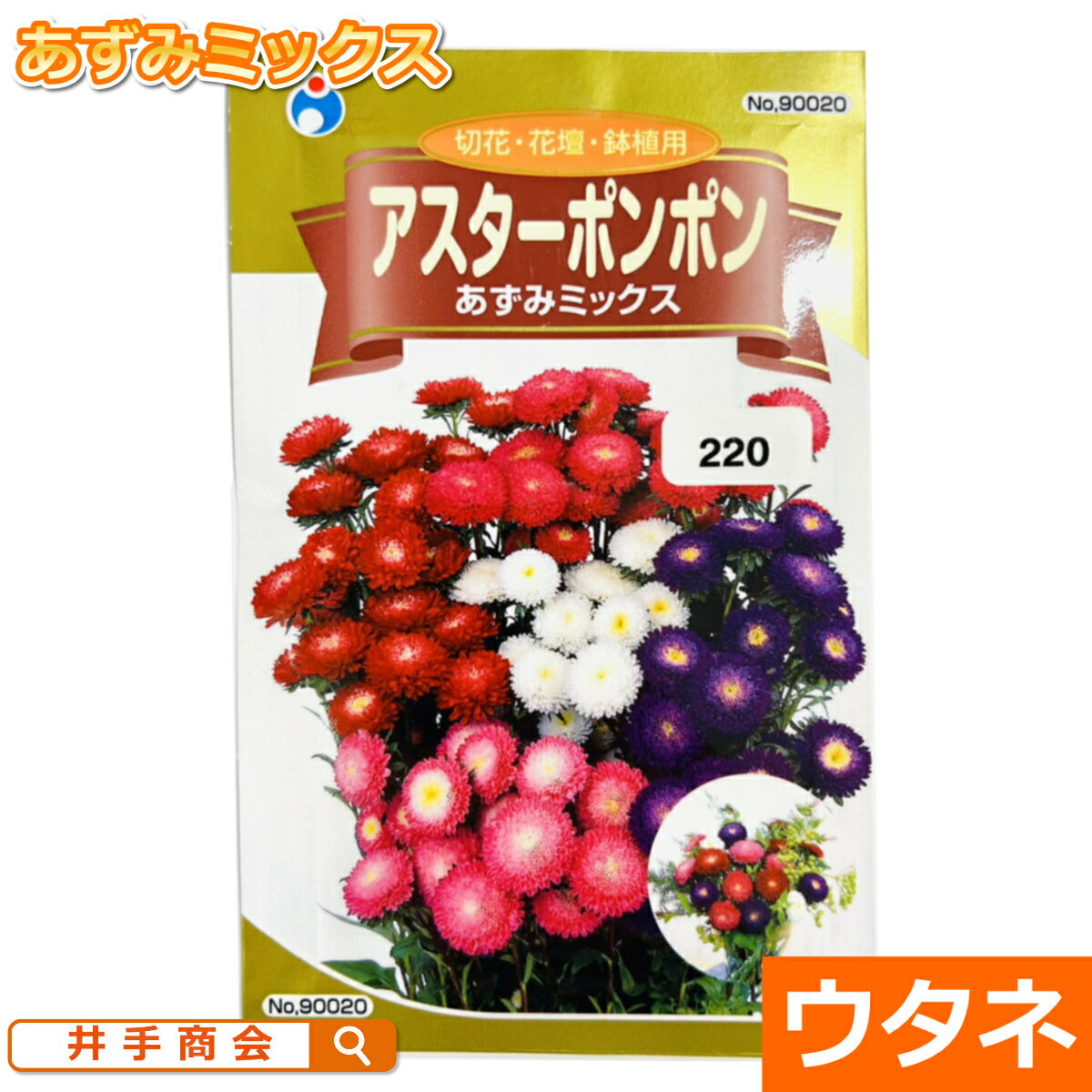 アスターポンポン（あずみミックス）（種:ウタネ）[ガーデニング 種子 園芸 種 アスター カラフル ピンク 赤]