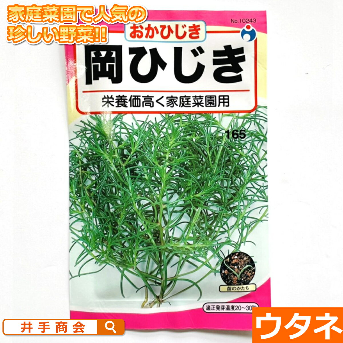 岡ひじき（おかひじき）（種:ウタネ）[種 家庭菜園 種子]のサムネイル