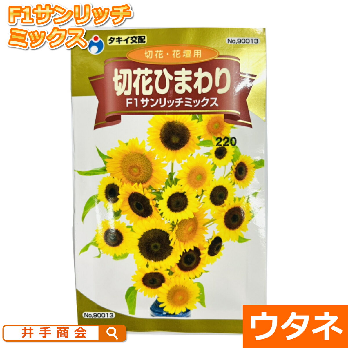 切花ひまわり（F1サンリッチミックス）（種:ウタネ）[向日葵 種子 ひまわり 種]