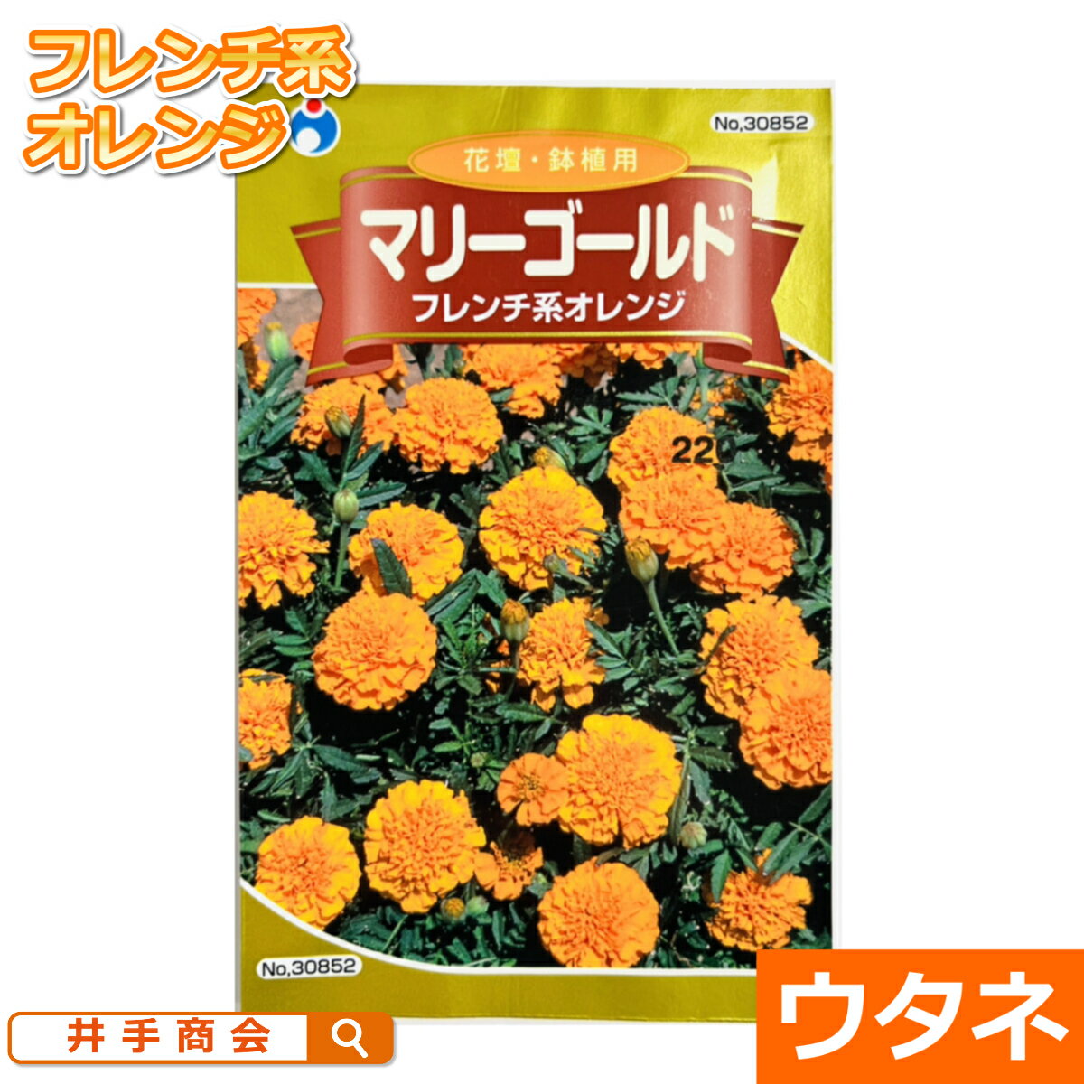 マリーゴールド（フレンチ系オレンジ）（種:ウタネ）[ガーデニング種園芸種子花壇オレンジ]