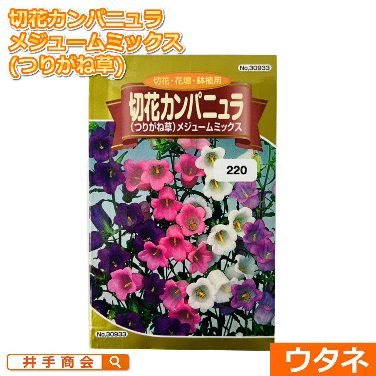 切花カンパニュラ（つりがね草） メジュームミックス（種:ウタネ）[ガーデニング 種 園芸 カンパニュラ 種子]