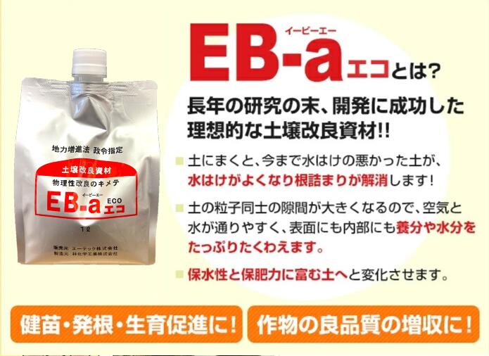 �ھ���γ������EB-a����(1L) ��[Ǵ�� �ͤ�� Ǵ�ڼ� �ӿ� ��Ϥ� �ݿ� ���� ���� �̵��� ���� �夿�ޤ� �� ή˴ ���� �ھ����� �ھ����ɻ�� ���� 30�� 100ʿ�� ��� �����ǥ˥� �����ڱ� Ȫ �� �Х� ���� �� ȭ����]