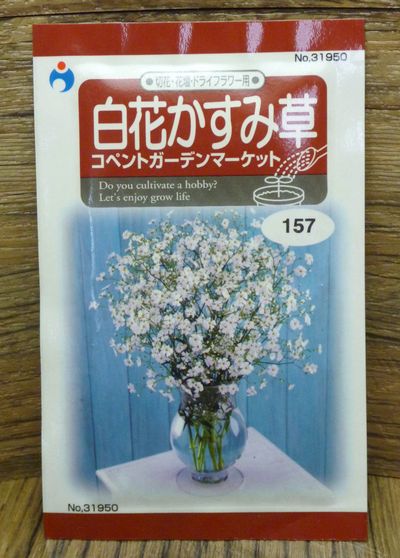 白花かすみ草（コペントハーゲンマーケット）（種:ウタネ）[ガーデニング 種子 種 かすみ草 園芸]