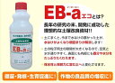 土壌団粒化資材『EB-aエコ(1L) 』[粘土 ねんど 粘土質 排水 水はけ 保水 肥料 保肥 通気性 改善 水たまり 芝 流亡 芝生 土壌改良 土壌改良資材 液体 30坪 100平米 園芸 ガーデニング 家庭菜園 畑 薔薇 バラ 育苗 苗 鉢植え]