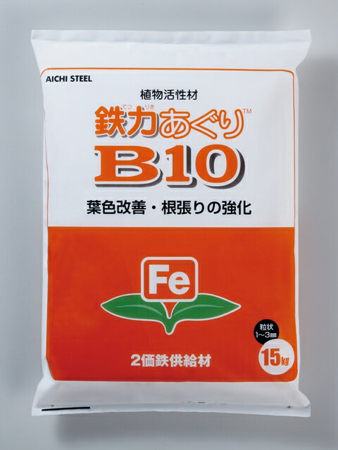ŴϤB1015kgˡ300ʿơ100ڡʬ[ھ  ͭ]