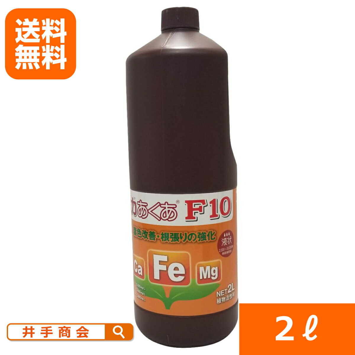 ѡŴϤF102åȥ[ھ  ͭ Ŵ   ]