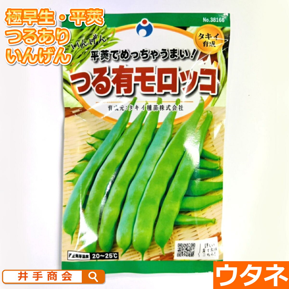 （つるあり）モロッコ（種:ウタネ）[いんげん 茶豆 種子 エンドウ 種 家庭菜園]