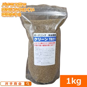 微生物土壌改良材『TB21エース（1kg）』 [TB21菌 納豆菌 バチラス菌 バチルス菌 病気対策 土壌改良 うどんこ病 すす病 黒点病 リン酸分解 安全 効能 培養 殺菌 肥料 発効促進 園芸 ガーデニング 家庭菜園 薔薇 バラ トマト 果樹]