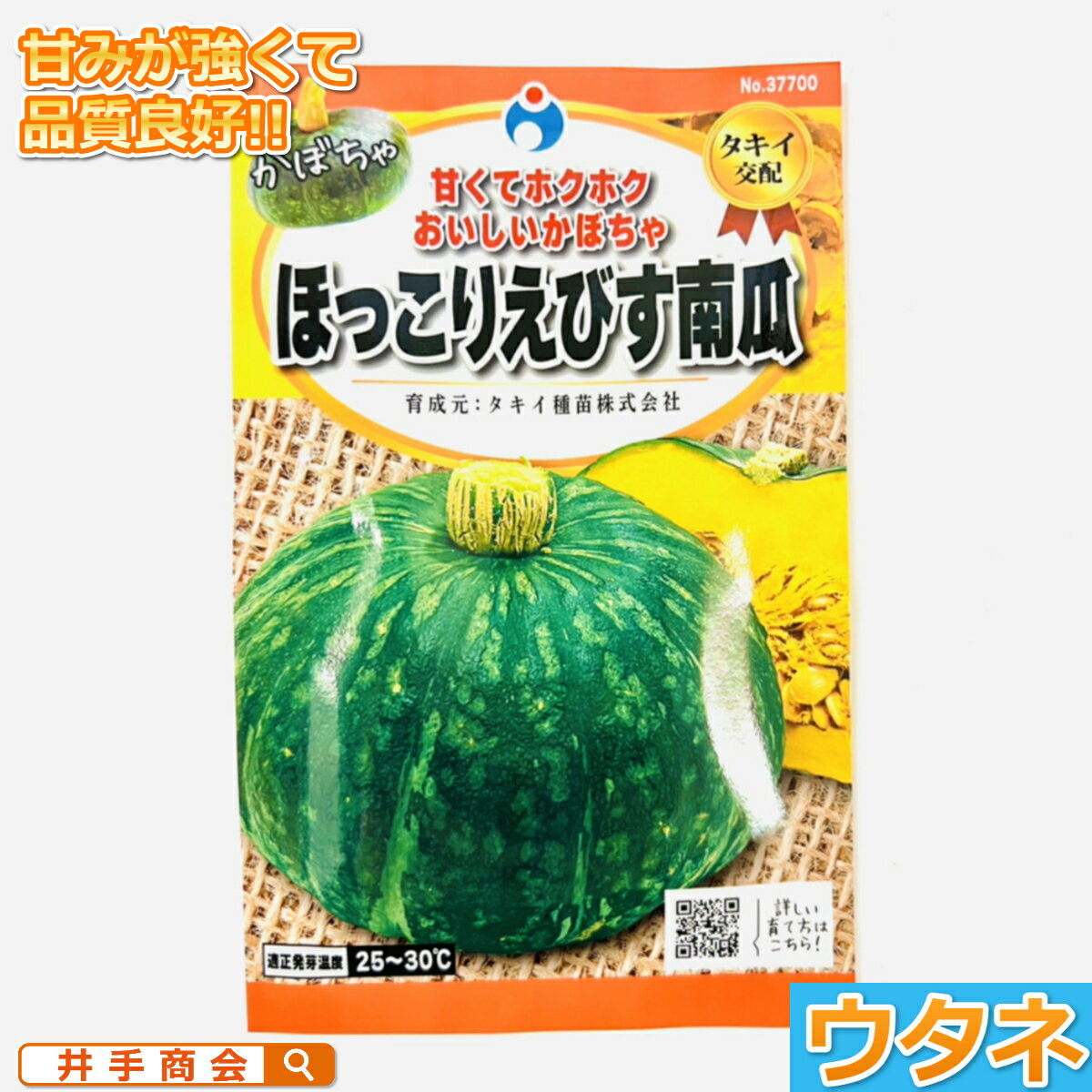 ほっこりえびす南瓜(カボチャ)（種:ウタネ）[かぼちゃ 種子 南瓜 家庭菜園 種]