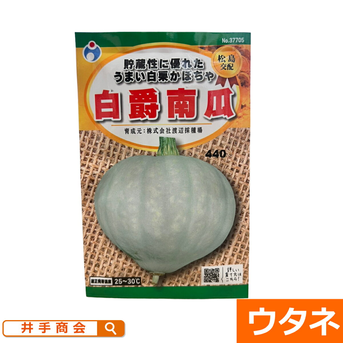 白爵南瓜（種:ウタネ）[かぼちゃ 種 南瓜 家庭菜園 種子]