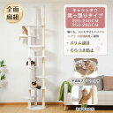キャットタワー 突っ張り スリム 省スペース 猫タワー 突っ張り スリム 大型猫用 多頭飼い 6本天然サイザル麻柱 爪とぎ キャットツリー 見晴台 透明宇宙船 ...
