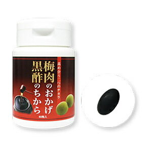 �參���ץꡡ�����Τ��������ݤΤ����顡60γ