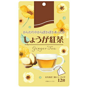 しょうが紅茶（2g×12袋入）ティータイム ノンカロリー 生姜 からだの中からぽかぽかあったか 国産しょうがブレンド リブ・ラボラトリーズ