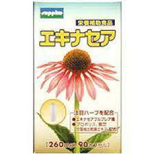 エキナセア 90カプセル サプリックス 栄養補助食品