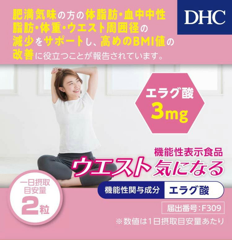 DHC ウエスト気になる 40粒 20日分 機能性表示食品 エラグ酸 ダイエット サプリ サプリメント ディーエイチシー 【送料無料】 2