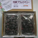 冷凍 ブラックベリー (トリプルクラウン)1箱(400g×2パック) 国産 和歌山県産 自家栽培 完熟 冷凍果実 冷凍デザート 冷凍フルーツ スムージー アサイー Blackberry トリプルクラウン果実