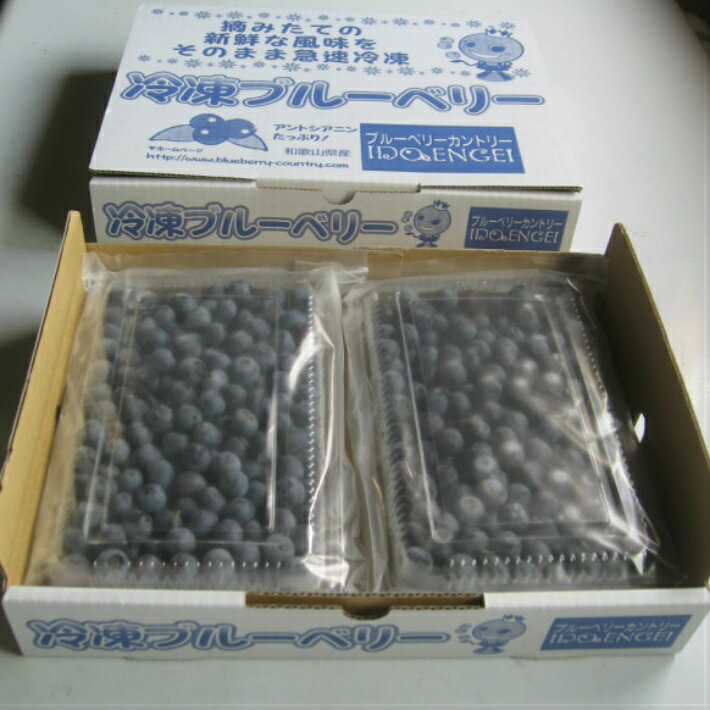 商品説明名称冷凍ブルーベリー 産地名 国産（和歌山県産） 内容量 冷凍ブルーベリー500g入りパック×2個ブルーベリージャムの作り方レシピ 複数ご注文の場合2kg（500g×4パック）1箱 3kg（500g×6パック）2kg1箱と1kg1箱を1梱包で発送します 4kg（500g×8パック）2kg2箱を1梱包で発送します 5kg（500g×10パック）1箱※1梱包につき5kgまでとなります、5kg以上ご注文の場合は、複数梱包となります。 保存方法 冷蔵庫で保存 配送 クール冷凍便にて発送いたします。 梱包送料は下記の通りになります。 【北海道】 ・1kg 1950円・2〜4kg 2150円・5kg 2300円 【北東北】 ・1kg 1550円・2〜4kg 1750円・5kg 1900円 【南東北】 ・1kg 1450円・2〜4kg 1650円・5kg 1800円 【関東・信越・四国・九州】 ・1kg 1350円・2〜4kg 1550円・5kg 1700円 【北陸・東海・関西・中国】 ・1kg 1250円・2〜4kg 1450円・5kg 1600円 ※1配送につき5kgまでとなりますので、5kg以上のご注文の場合は、複数配送となります。 ※沖縄、離島地域に関しましては、発送はお受付できません。ご了承ください。 ※大量のご注文の場合は、別途見積りいたしますのでご連絡下さい。&nbsp;