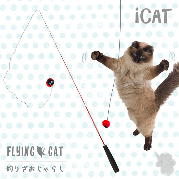 楽天市場 猫 おもちゃ Icat Flying Cat 釣りざお猫じゃらし てんとう虫ボール 猫用おもちゃ ペットグッズ ねこ ネコ 猫じゃらし 釣り竿 ねこじゃらし 猫のおもちゃ Icat Idog あす楽 翌日配送 犬の服のidog みんなのレビュー 口コミ 楽天市場 猫 おもちゃ Icat Flying Cat 釣りざお猫じゃらし てんとう虫ボール 猫用おもちゃ ペットグッズ ねこ ネコ 猫じゃらし 釣り竿 ねこじゃらし 猫のおもちゃ Icat Idog あす楽 翌日配送 犬の服のidog みんなのレビュー 口コミ