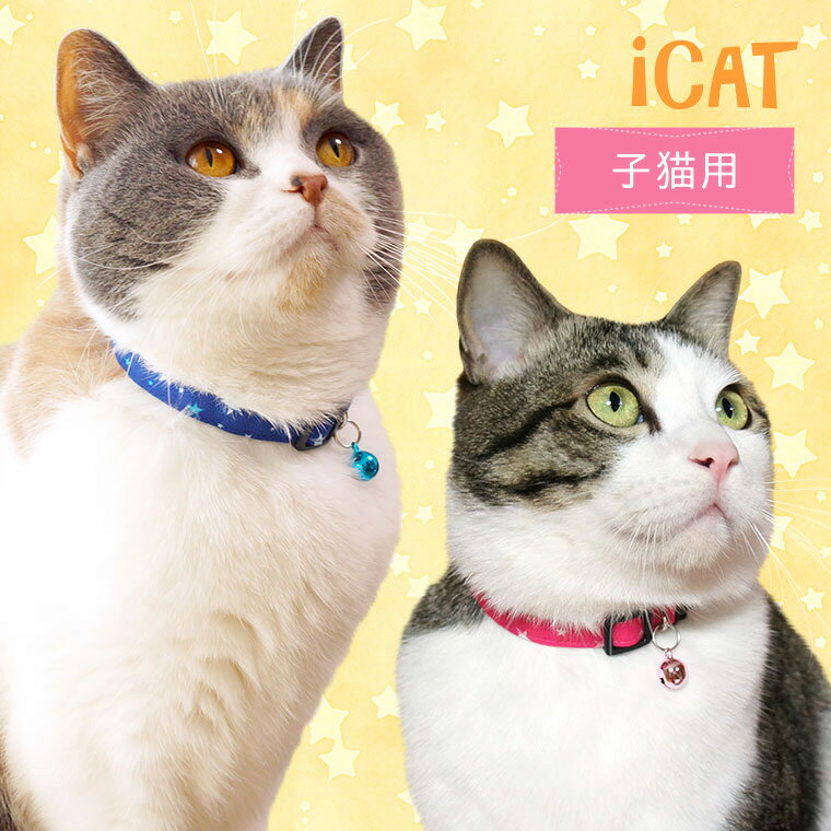 【 猫 首輪 安全 】iCat キティカラー ランダムスター メール便OK【 国産 布製 カラー 軽量 セーフティ 簡単 猫首輪 猫の首輪 猫用首輪 icat i dog 楽天 】【 あす楽 翌日配送 】 2