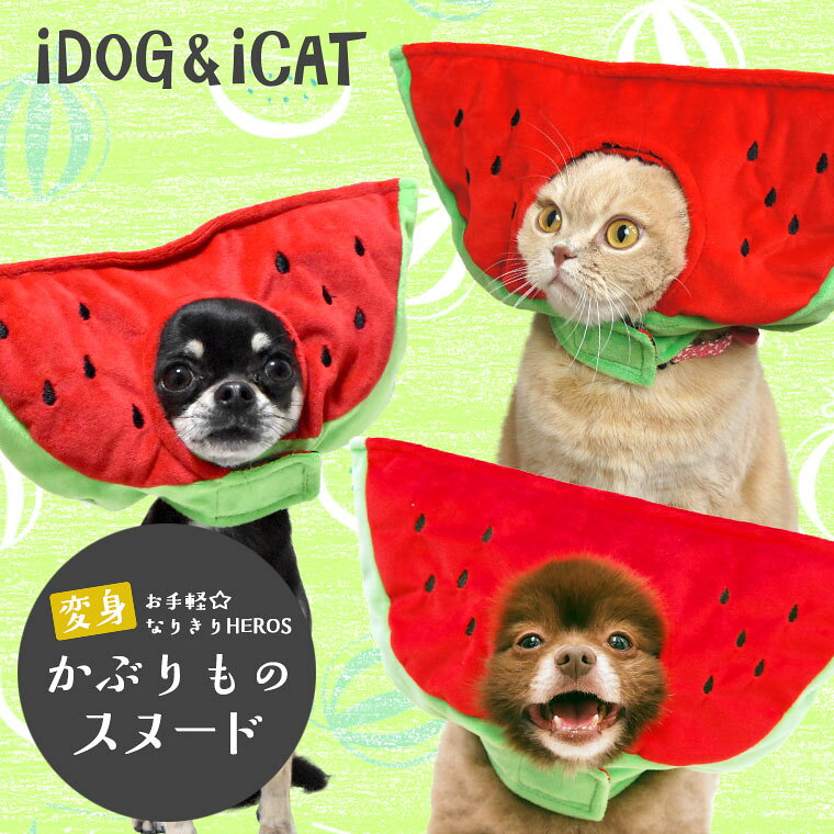 【耳 汚れ防止 犬服】 iDog アイドッグ 変身かぶりものスヌード かぶりつきスイカ 【かぶ...