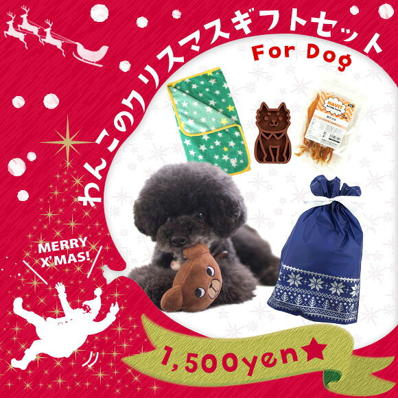 iDog わんこのクリスマスギフトセット