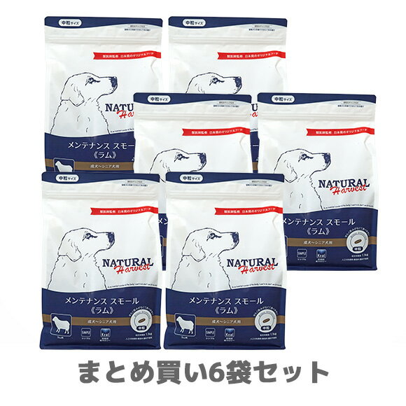 楽天犬の服のiDog【 犬 ドッグフード 】ナチュラルハーベスト メンテナンススモール ラム 1.1kg×6袋まとめ買いセット【 ドッグ フード ドライフード 犬用フード 餌 エサ えさ ご飯 ごはん まとめ買い お得 セット i dog 楽天 】