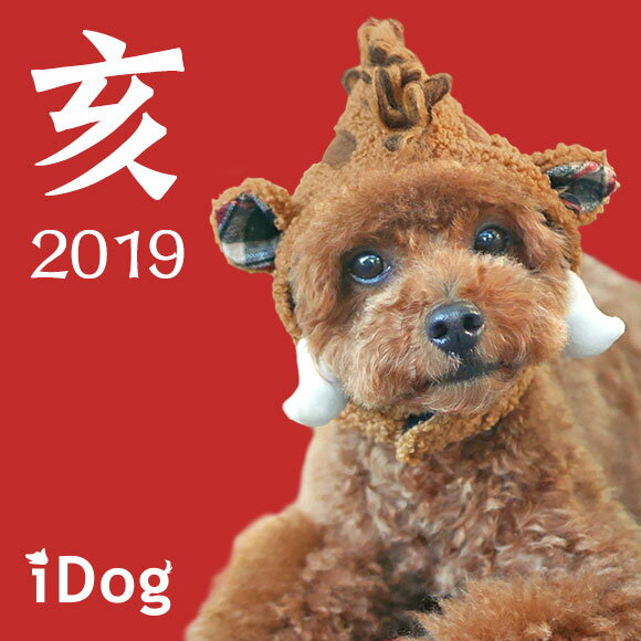 犬 服 年賀状 干支 Idog 変身かぶりものスヌード いのしし アイドッグ メール便ok 犬 かぶりもの スヌード 帽子 ミニチュアダックス ダックス チワワ 中型犬 おしゃれ 正月 着ぐるみ 干支 犬用 犬用品 愛犬 ドッグ ペット あす楽 翌日配送 落ち込んだりもした