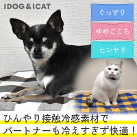 ペットも熱中症対策して命を守る 夏の暑さから犬や猫を救う人気グッズ 予算5 000円 のおすすめプレゼントランキング Ocruyo オクルヨ ペットも熱中症対策して命を守る 夏の暑さから犬や猫を救う人気グッズ 予算5 000円 のおすすめプレゼントランキング Ocruyo オクルヨ