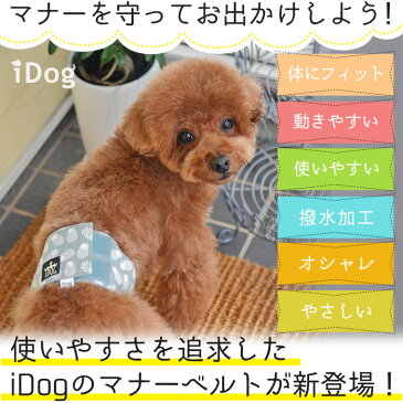 【 マーキング防止 犬 服 】iDog マナーベルト パインボーダー アイドッグ メール便OK 【 あす楽 翌日配送 】【 マナーベルト オシッコ対策 おむつ 犬の服 アイドッグ ドッグウェア ペットウェア 犬 服 】