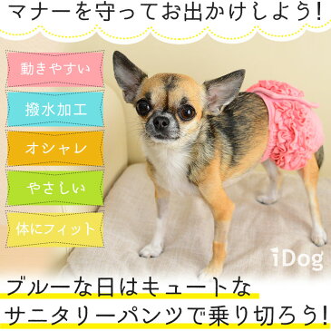 【 サニタリーパンツ 犬 服 】iDog サニタリーパンツ ボリュームフリル アイドッグ メール便OK【 あす楽 翌日配送 】【 マナーパンツ 生理用 ヒート用 おむつ 犬の服 アイドッグ ドッグウェア ペットウェア 犬】