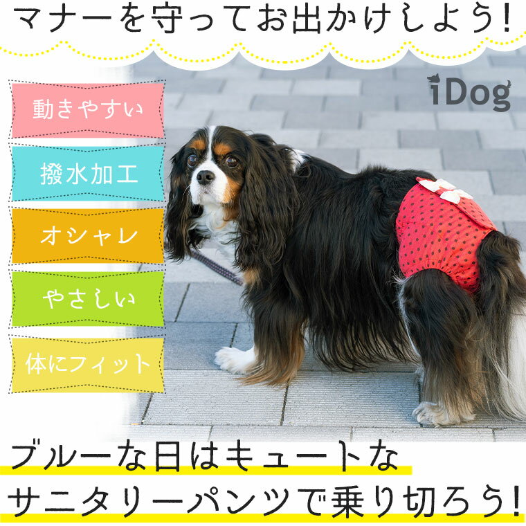 【 サニタリーパンツ 犬 服 】iDog サニタリーパンツ 水玉リボン アイドッグ メール便OK【 あす楽 翌日配送 】【 マナーパンツ 生理用 ヒート用 おむつ 犬の服 アイドッグ 国産 ドッグウェア ペットウェア 犬】