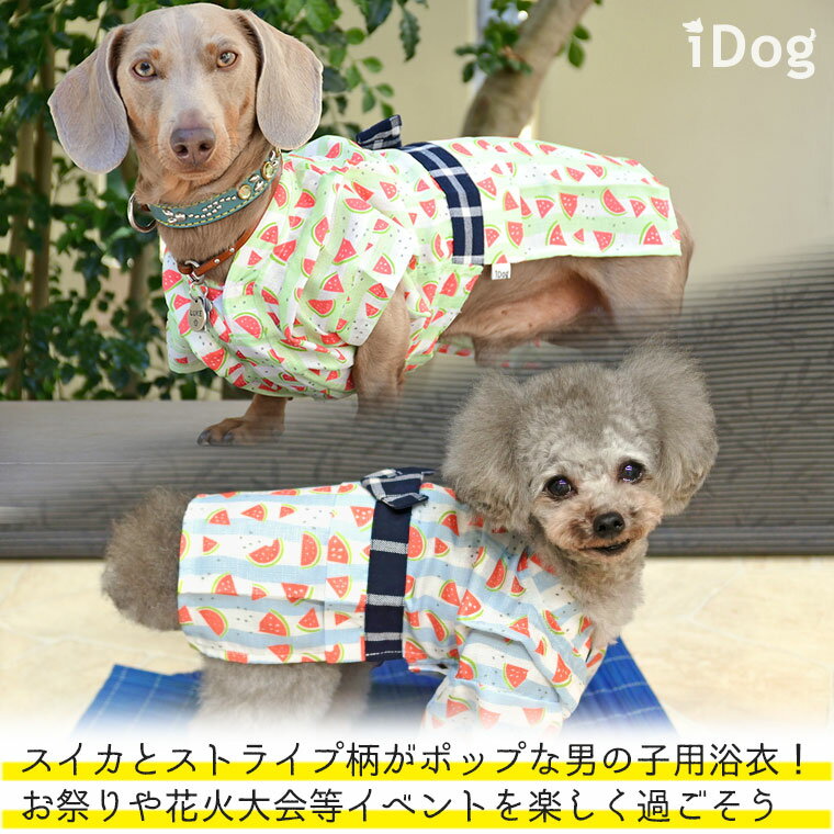 【 犬 服 春夏 】iDog 男の子用浴衣 納涼すいか アイドッグ【 あす楽 翌日配送 】【 ゆかた 浴衣 犬服 春夏 春 夏 犬の服 ペット 猫 ブランド トイプードル xs チワワ ダックス 犬用品 犬用 ドッグウェア 】