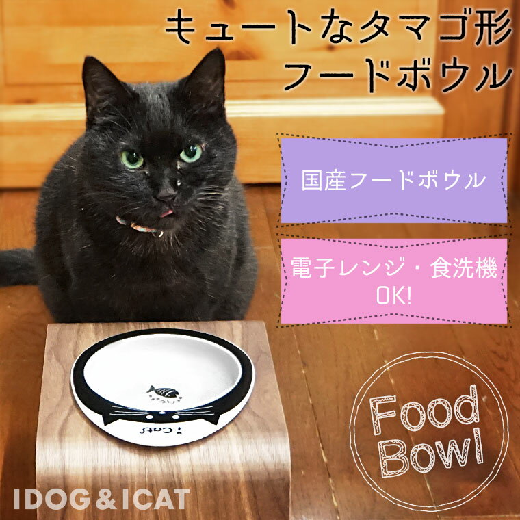 【 犬 猫 フードボウル 】IDOG&ICAT...の紹介画像2