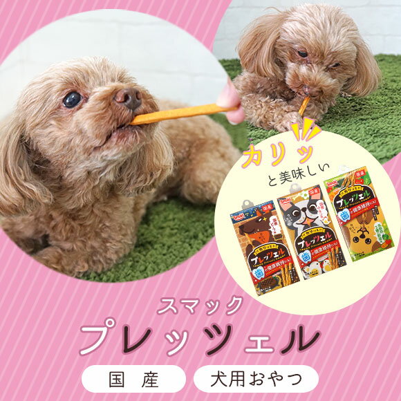 サンプル画像2