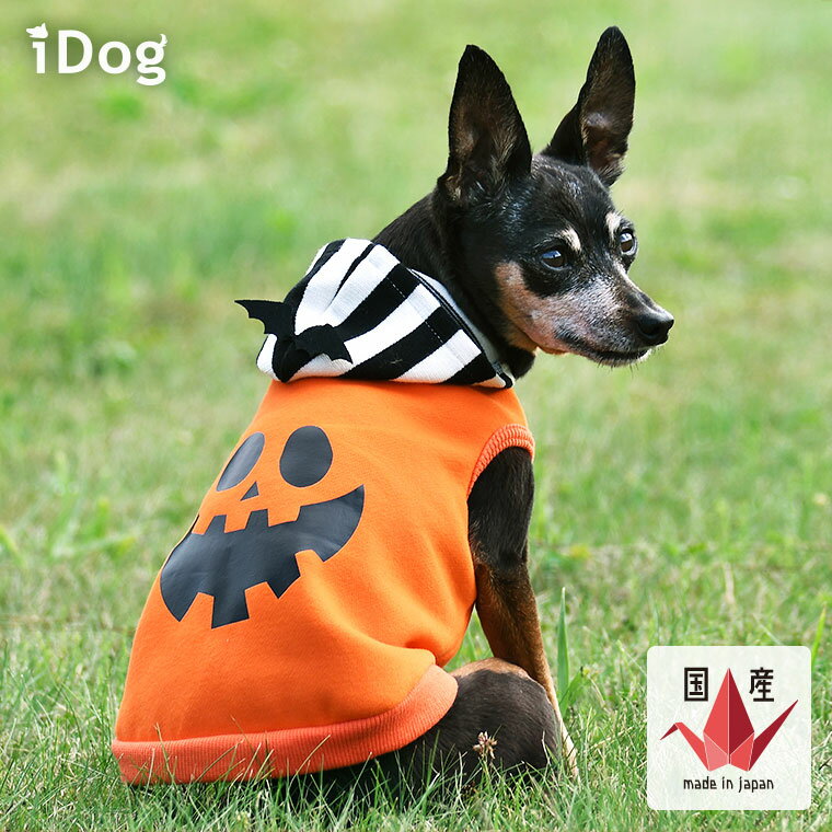 犬のコスプレ ハロウィンは愛犬も仮装 キュートな犬服衣装やドッグウェアのおすすめランキング わたしと 暮らし