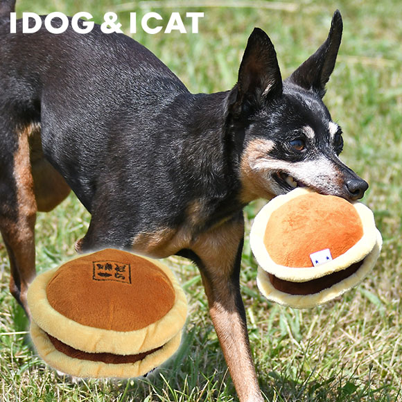    iDog äɤ䤭 Ĥū ɥå   ۡ  ̤ ɥåȥ Τ...