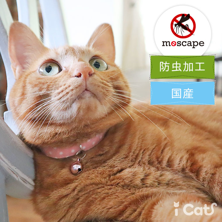 【 猫 首輪 安全 】iCat moscape カジュアルカラー ドット 防虫 メール便OK【 あす楽 翌日配送 】【 国産 防蚊 布製 カラー 軽量 セーフティ 簡単 猫首輪 猫の首輪 猫用首輪 icat i dog 楽天 】