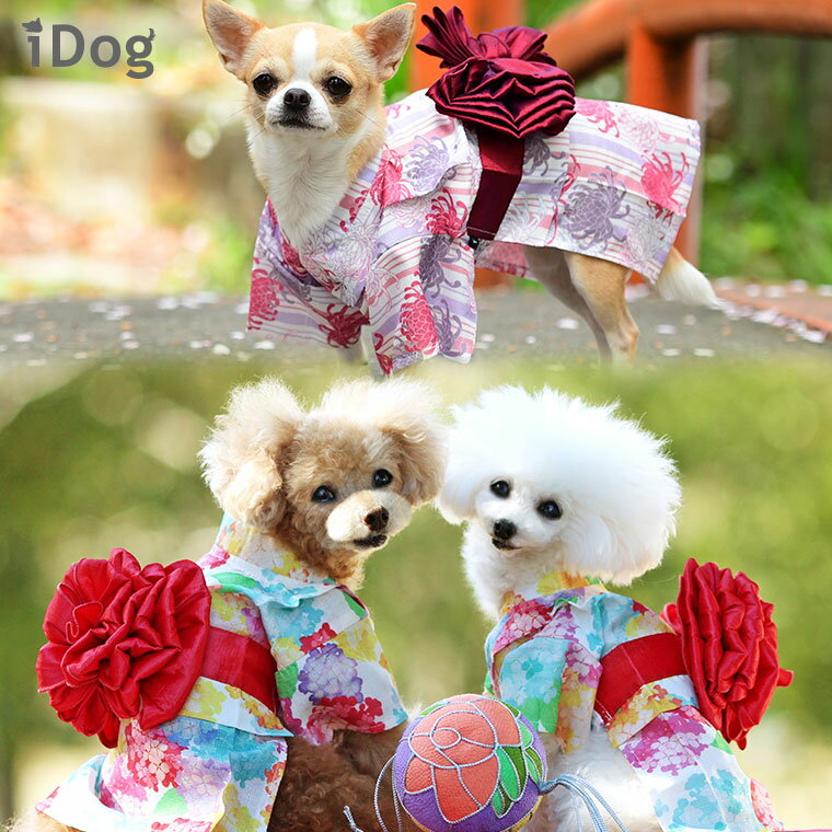 【 浴衣 犬 服 】iDog 華やか大輪帯浴衣【 あす楽 翌日配送 】【 夏 祭り 和服 和柄 犬の服 アイドッグ イヌ ドッグウェア ペットウェア 犬 服 猫服 i dog 楽天 夏物 】