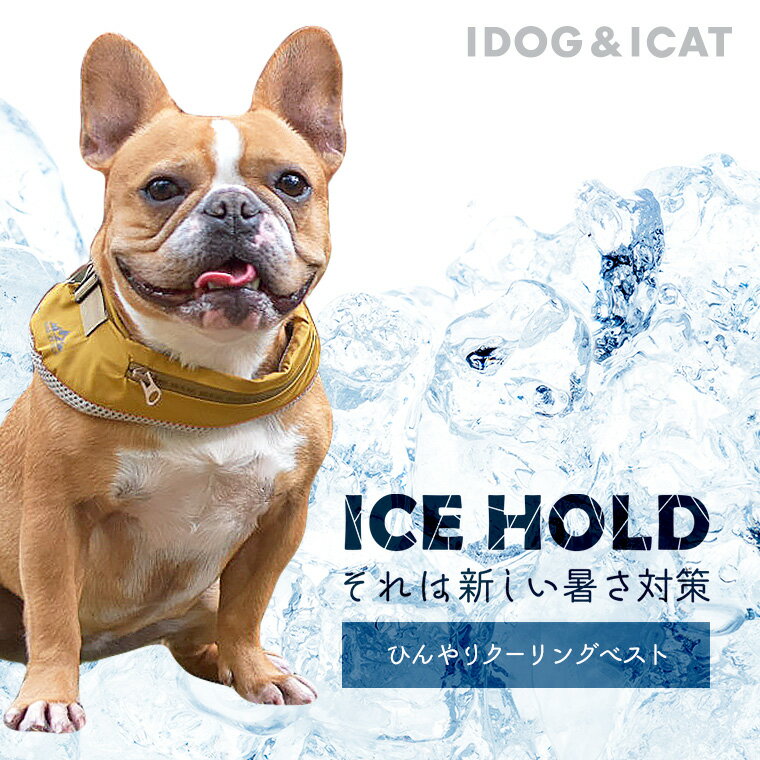 【 首元ひんやりクールダウン 】IDOG ICE HOLD スムージーネッククーラー 保冷剤付 撥水 メール便OK【 あす楽 翌日配送 】【 涼感 ひんやり cool クールネック 涼しい 夏用 アイドッグ i dog 楽天 】