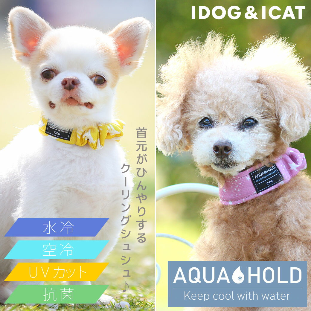 【 ひんやり 犬 服 】iDog AQUA HOLD ひんやりシュシュ メール便OK【 あす楽 翌日配送 】【 濡らして ひんやり クール クールバンド 涼しい 夏服 夏用 犬の服 アイドッグ 空冷 水冷 ペットウェア 犬 服 暑さ対策 i dog 楽天 】