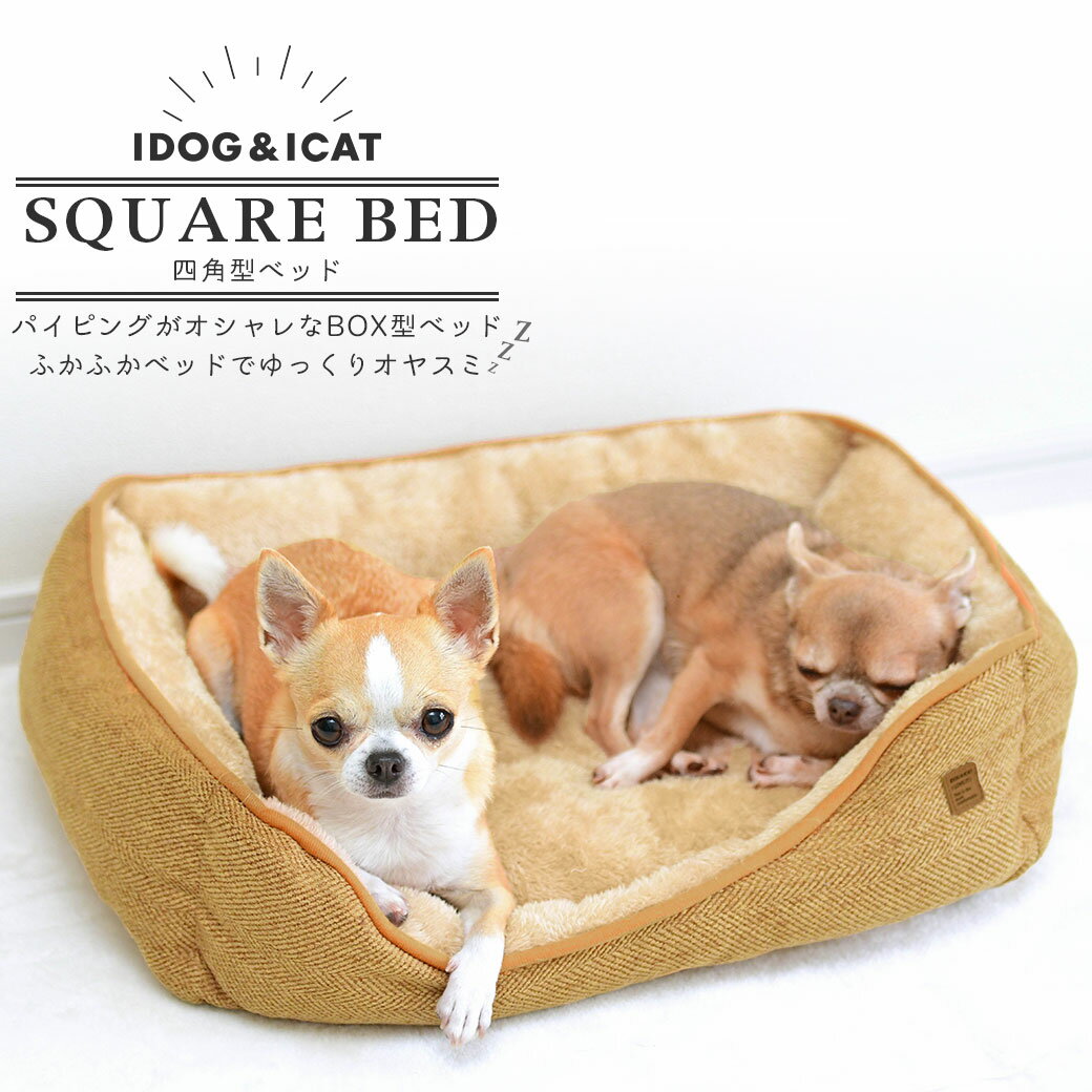 【クーポン利用で5%OFF★】【 犬 猫 ベッド 】IDOG&ICAT パイピングスクエアベッド アイドッグ【 あす楽 翌日配送 】【 クッション マット カドラー ペットベット ペットソファ 犬のベッド 猫のベッド 秋用 冬用 icat アイキャッ】
