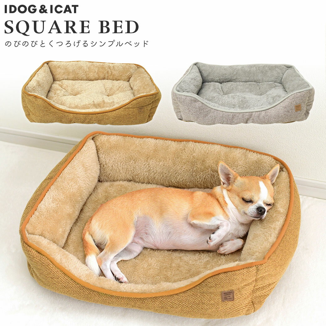 【クーポン利用で5%OFF★】【 犬 猫 ベッド 】IDOG&ICAT パイピングスクエアベッド アイドッグ【 あす楽 翌日配送 】【 クッション マット カドラー ペットベット ペットソファ 犬のベッド 猫のベッド 秋用 冬用 icat アイキャッ】