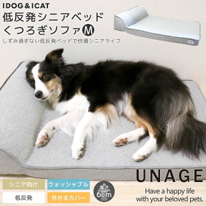   ǭ ٥å IDOG&ICAT UNAGE 󥨥 ȿȯ˥٥å Ĥե M ɥå   ۡ å ޥå   Ϸ Ϸǭ  ˥  