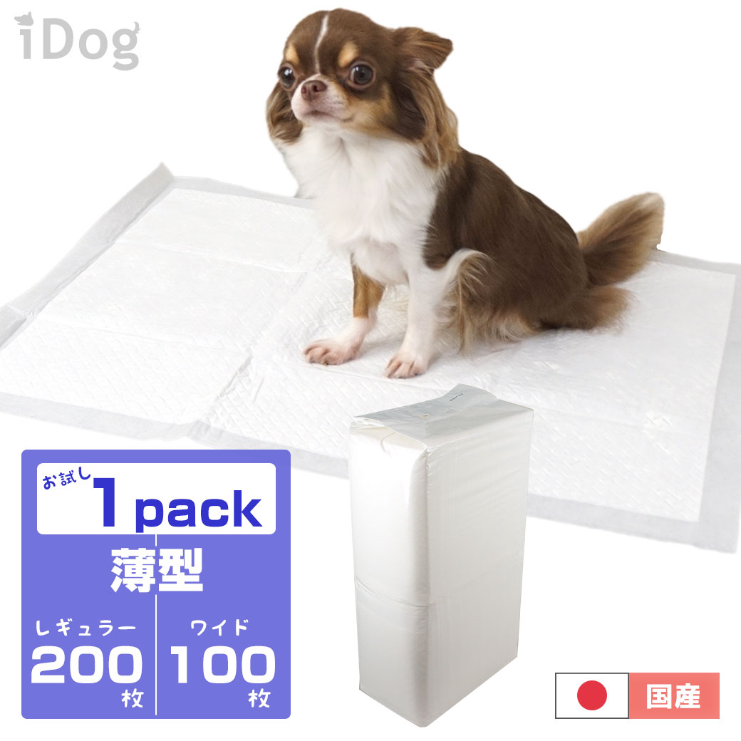 iDog ペットシーツ 薄型 お試し1パック レギュラー/200枚入 ワイド/100枚入 アイドッグ