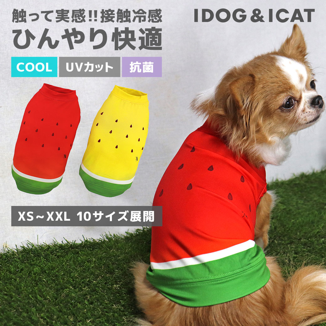 iDog COOL Chill スイカタンク 接触冷感 アイドッグ メール便OK