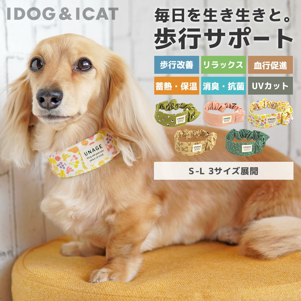 【 犬 猫 ペット 】iDog IDOG ICE HOLD ネッククーラー 保冷剤付 アイドッグ メール便OK【 あす楽 翌日配送 】【 暑さ対策 冷感グッズ 熱中症予防 冷却 ひんやり ヒンヤリ クール 涼しい 快適 夏 夏用 idog 楽天 】