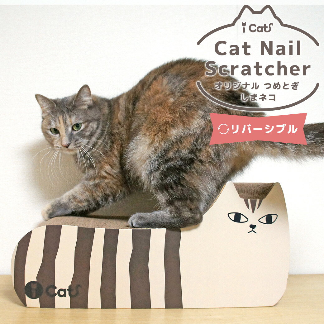 【 猫 爪とぎ 】iCat アイキャット オリジナル つめとぎ しまネコ アイキャット【 段ボール 爪 ネイル 爪磨き 猫用つめとぎ 猫のつめとぎ スクラッチャー キャットスクラッチャー ダンボールポール icat i dog 楽天 】 商品画像2