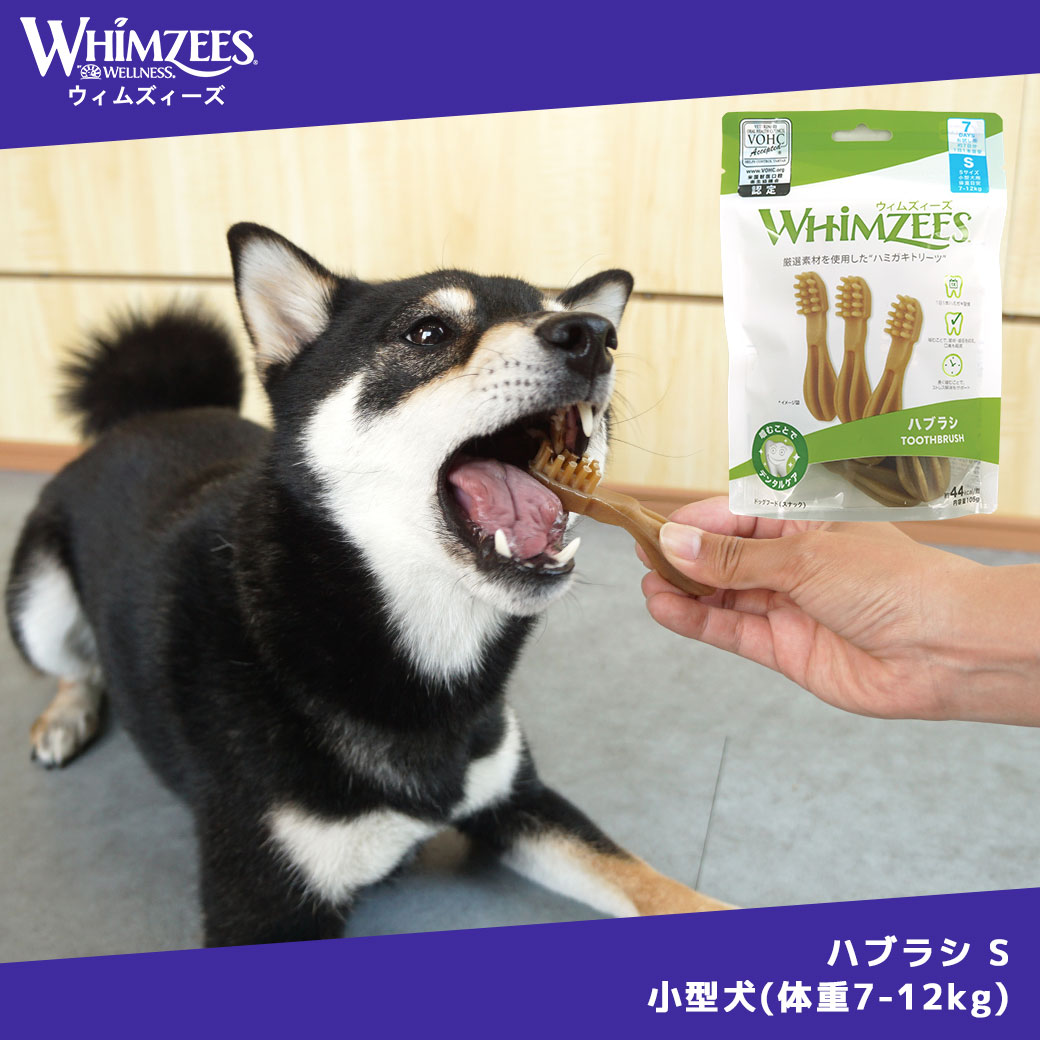 【 犬 デンタルケア 】ウィムズィーズ ハブラシS 小型犬(体重7-12kg) 7本 メール便...
