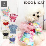     iDog ڤ䤫 ɥå   ۡ  פ    ɥå  ɥå ڥåȥ   ǭ i dog ŷ ʪ 