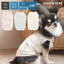 【ひんやり防虫ウェアセール★5％OFF】【 冷感 犬 服 春夏 】iDog COOL Chill テディベアタンク 接触冷感 アイドッグ メール便OK【 あす楽 翌日配送 】【 涼感 ひんやり cool クールウェア 涼し…